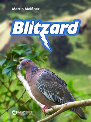 cover image of Blitzard